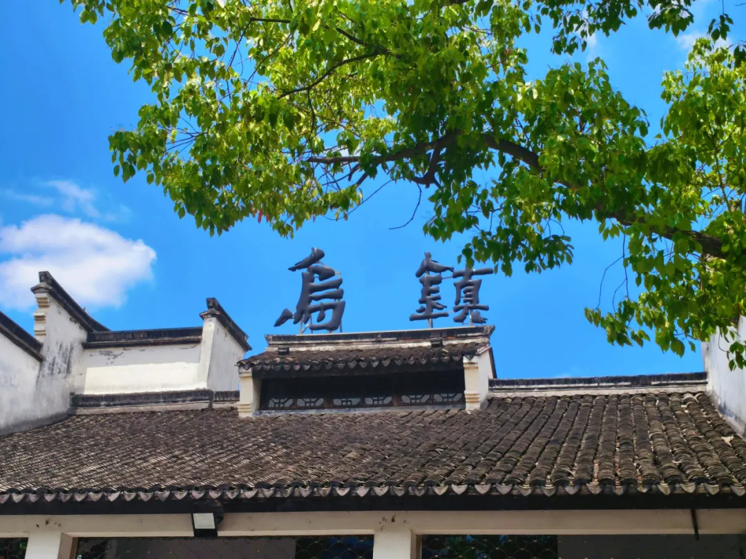 111.webp(1).png
